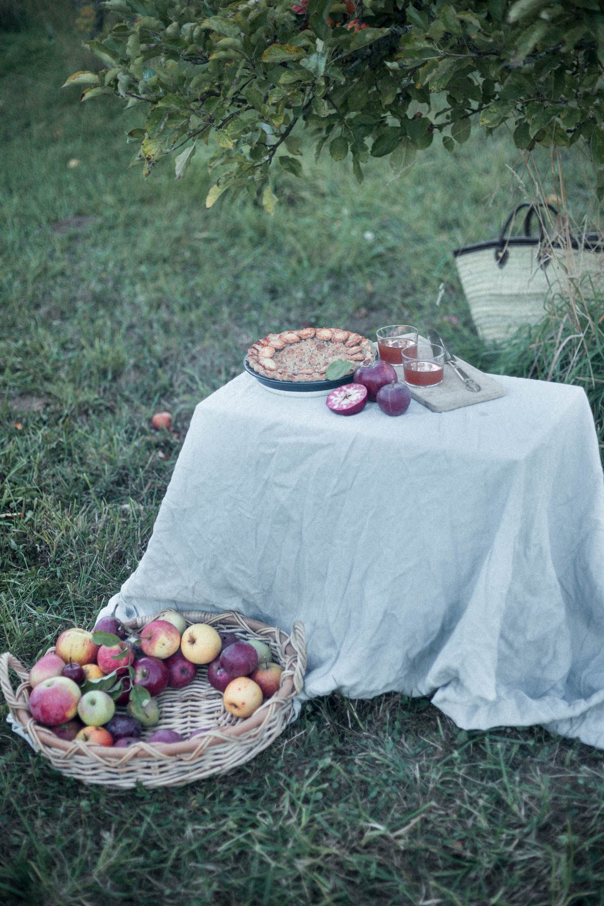 Grandmas Dutch Apple Pie