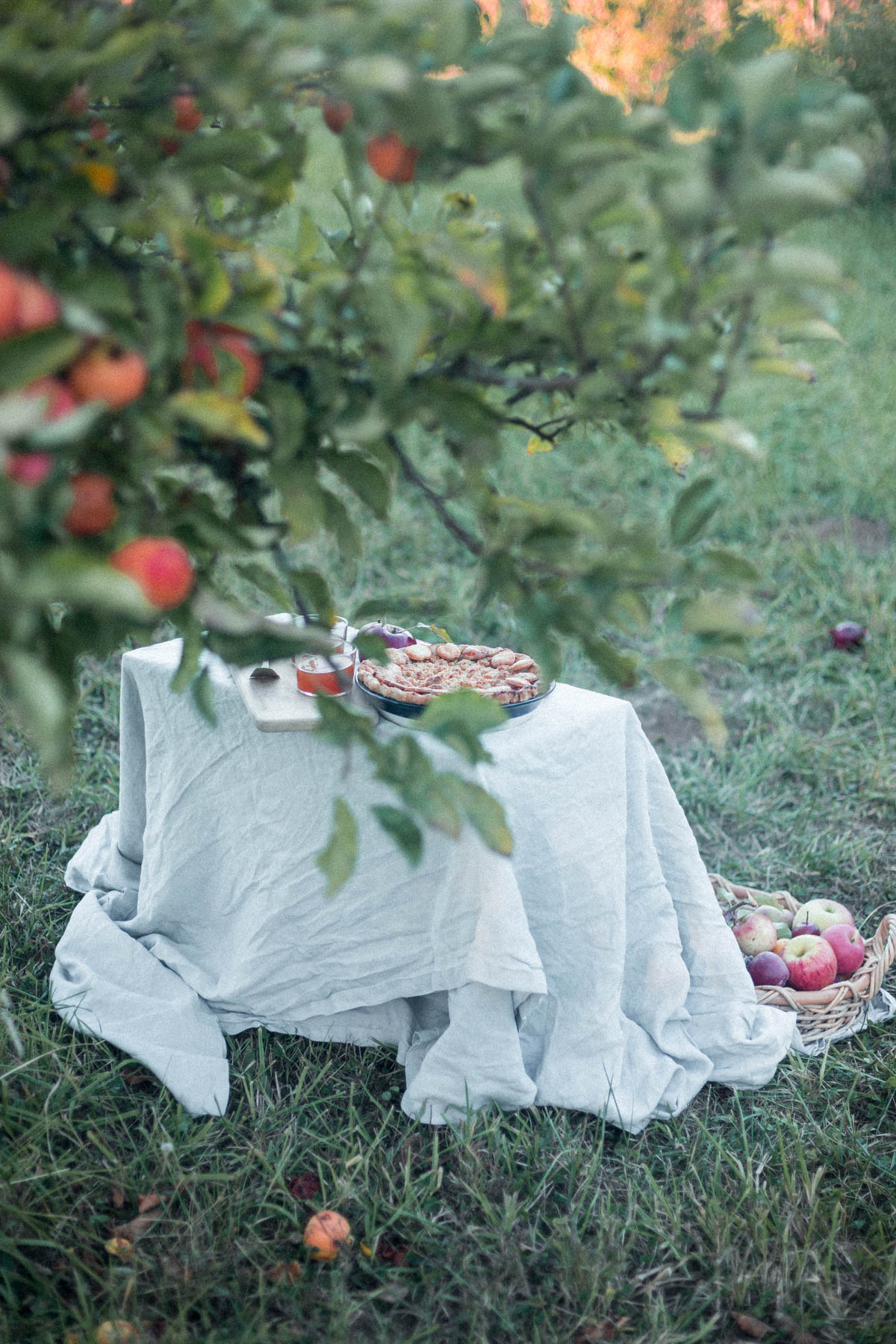 Grandmas Dutch Apple Pie