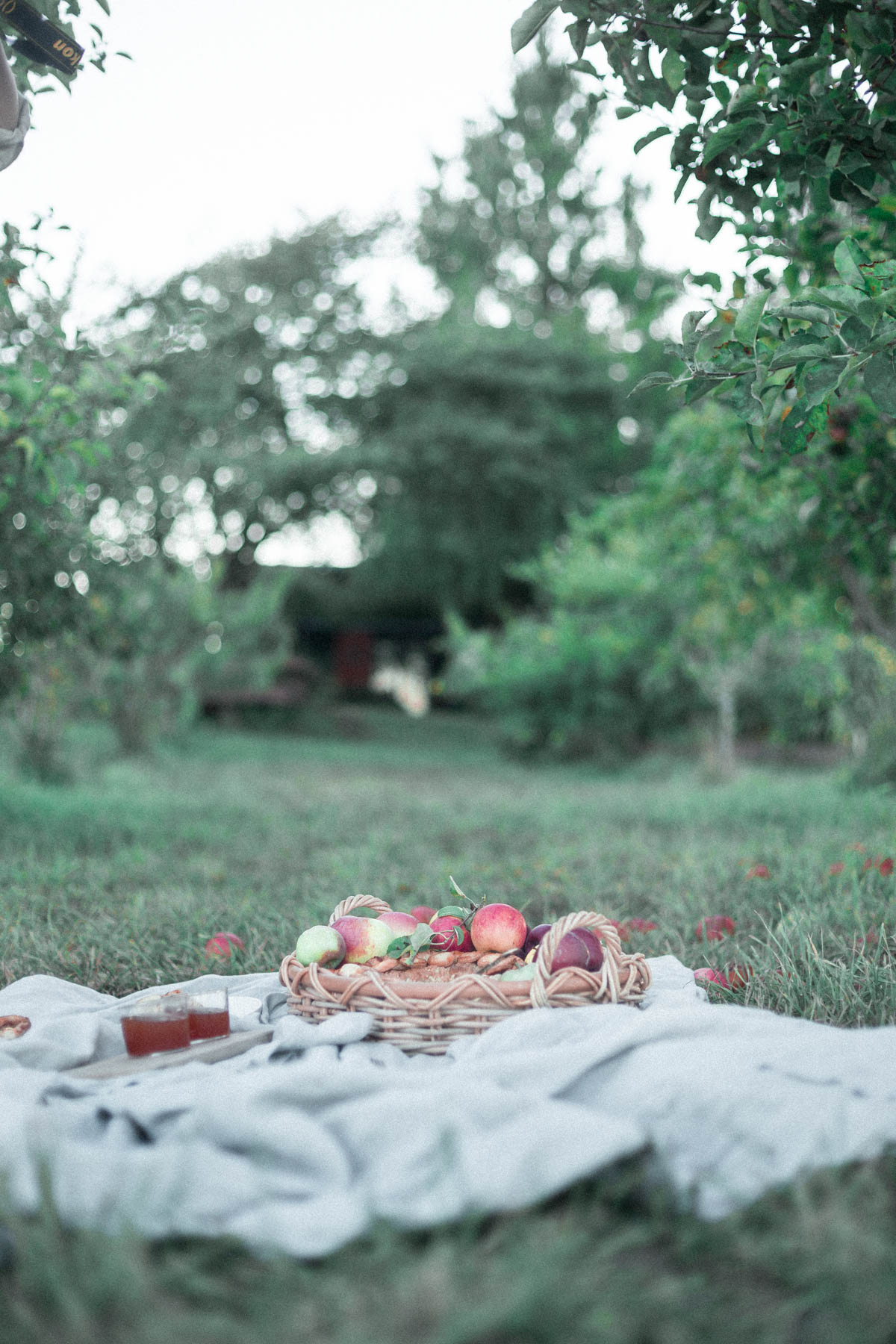 Grandmas Dutch Apple Pie