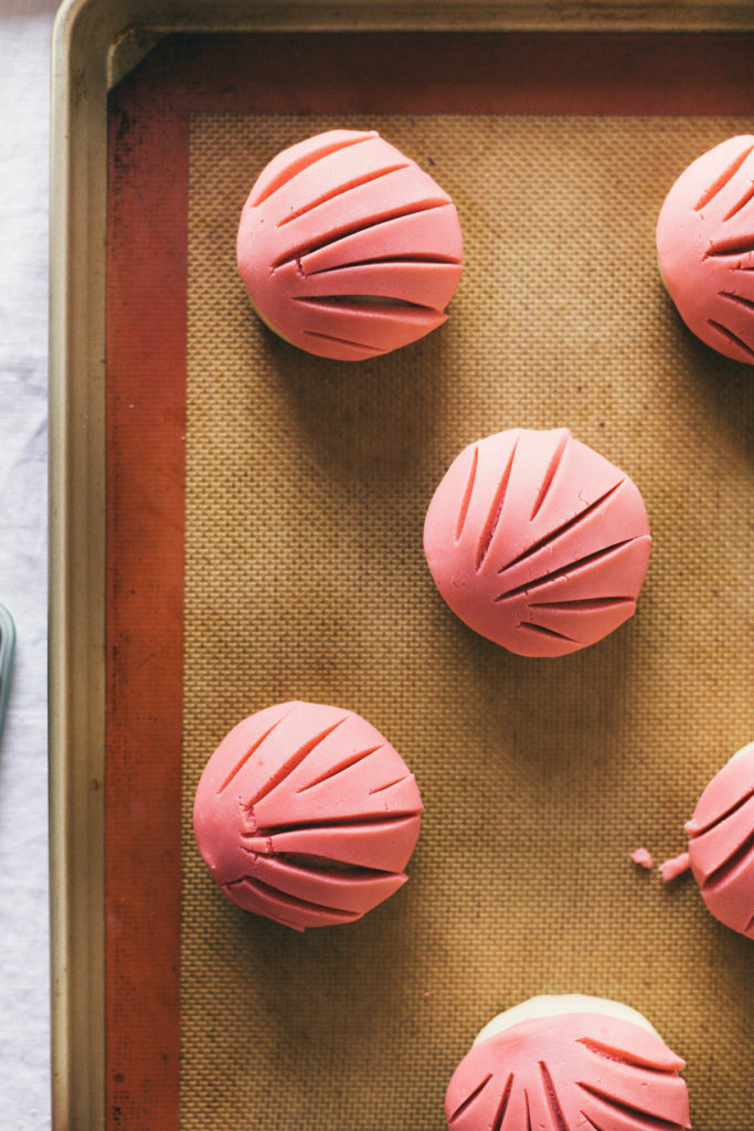 Pink Conchas Pan Dulce #pandulce #conchas #mexicansweetbread