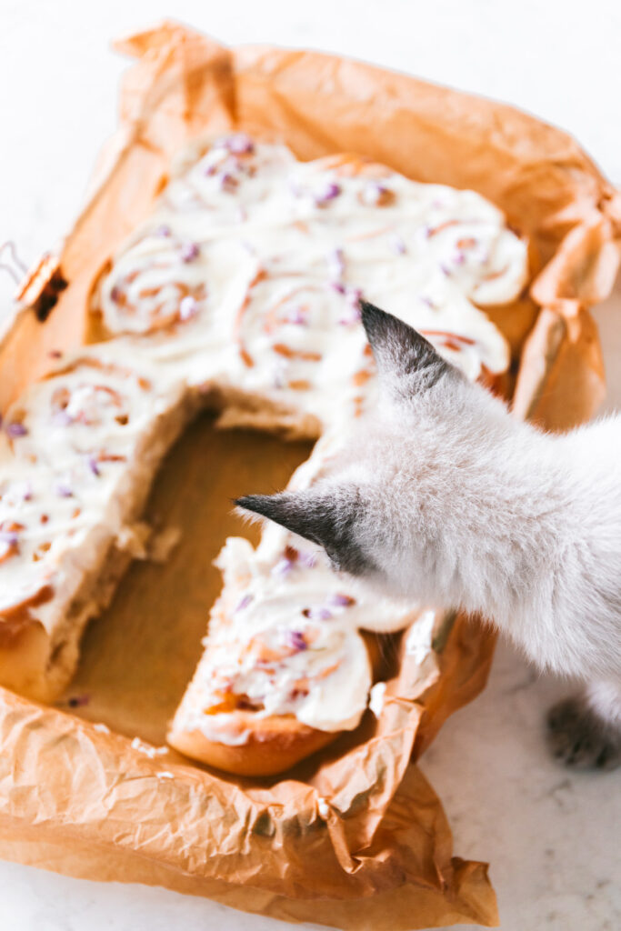 angled image of finished rolls with cream cheese slathered on top and a kitten peeking to take a look.